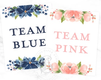 Team Blue and Team Pink Baby Shower Signs