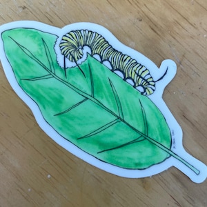 Pollinator Sticker: Monarch Caterpillar