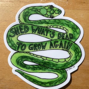 Puede incluir: Una pegatina con un diseño de serpiente verde enrollada, con contornos negros. La cabeza de la serpiente tiene un patrón geométrico. El texto "Shed What's Dead To Grow Again" está escrito en verde.