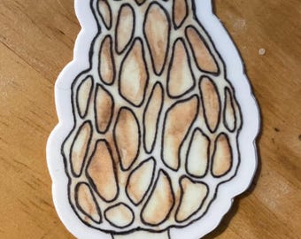 Mushroom Sticker: Morel