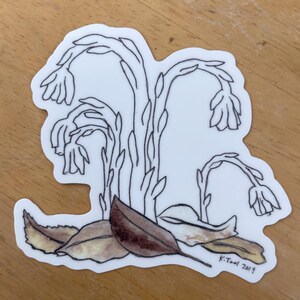 May include: A white sticker with a black and white illustration of a plant with drooping flower-like structures and several brown leaves at the base. The sticker has a white border and the text "K.Toal 2019" is visible.
