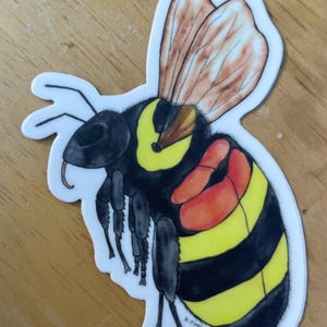 May include: A sticker featuring a detailed illustration of a bee. The bee has a black head and body with yellow and black stripes. Its wings are brown and translucent, and the sticker has a white border. The artist's signature and the year 2021 are visible.