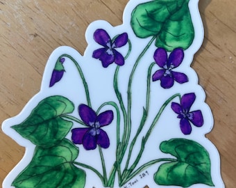 Medicinal Plant Sticker: Wild Violet