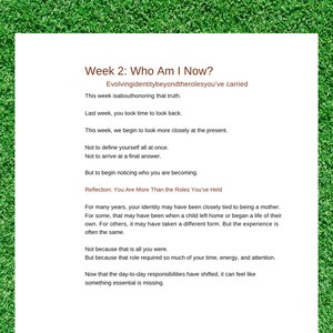 Lege Nest-gids voor moeders boven de 50 | Life After Kids Leave Home | Pdf-download afbeelding 4