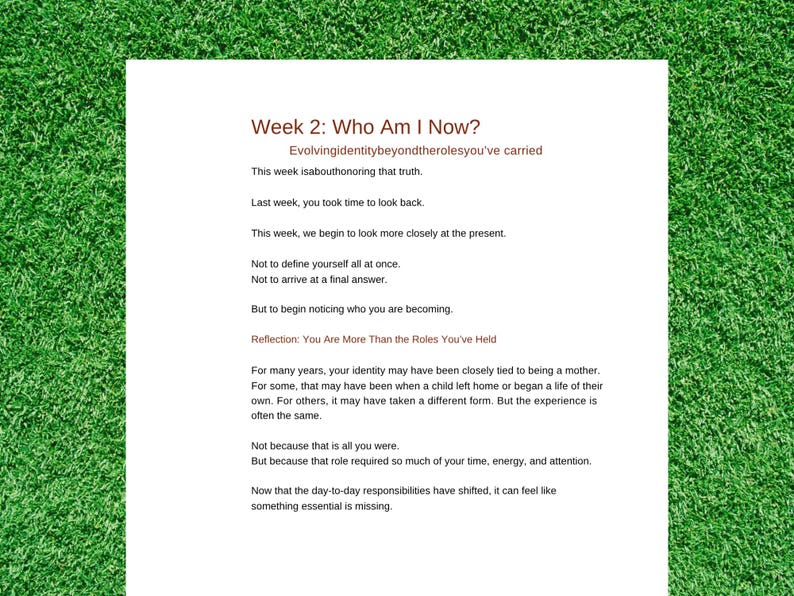 Lege Nest-gids voor moeders boven de 50 | Life After Kids Leave Home | Pdf-download afbeelding 4