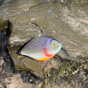 Crankbait Lipless GillJack