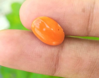 Natural Japanese Orange Coral Cabochon - Untreated Gemstone (13.5x9.5x3.5mm)