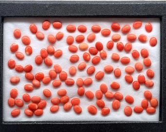 Natural Japanese Red Coral Cabochon: AAA Calibrated Oval, 9x7mm