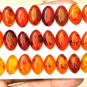 Baltische Bernstein Cabochons Lot: 225 Ct gemischte Größen für die Schmuckherstellung