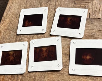 Lote antiguo de 5 diapositivas fotográficas de Walt Disney World Country Bear Jamboree