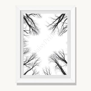Forest Canopy Line Art Print | Minimalist Tree Line Decor (Digital Download)