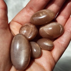 May include: A collection of six smooth, polished, oval-shaped stones in shades of light brown and tan. These stones exhibit a subtle, shimmering lustre across their surfaces, with some showing faint internal fractures and natural variations in colour.