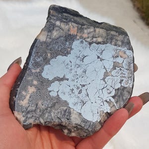 Può includere: Una pietra grezza di forma irregolare, con un motivo screziato di grigio, nero e tonalità rosa pallido. Sulla superficie è visibile una grande formazione azzurra a forma di nuvola con intricate venature. La pietra è tenuta in una mano.