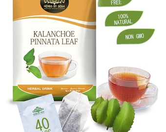 Bolsitas de té de hojas de Kalanchoe Pinnata: desintoxicante natural, sin cafeína