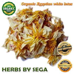 Organic Egyptian White Lotus Flowers: Meditation Tea
