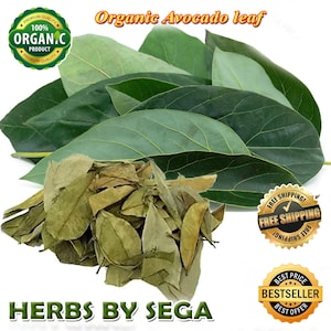 Organic Avocado Leaves, Air Dried Natural Avocado Leaf, Herbal Tea