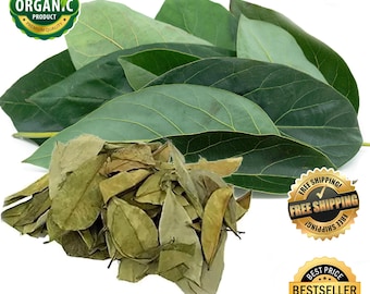 Organic Avocado Leaves, Air Dried Natural Avocado Leaf, Herbal Tea