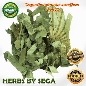 Organic Dried Lotus Leaf Herbal Tea: Nelumbo Nucifera