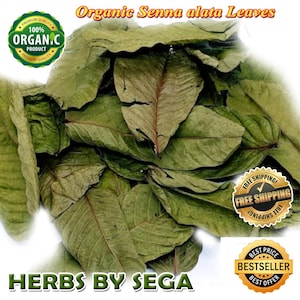 Cassia Alata, senna alata, 100% Organic candle bush Leaves, King of the Forest, Ringworm Candle Bush, Freshly air dehydrate