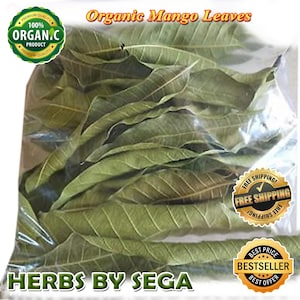 Mango leaf, Natural organic mango leaves, 100% Organic Mango Leaves, Herbal Mango Leaf Tea