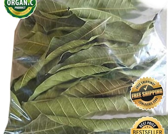 Té de hoja de mango orgánico: Hierbas ayurvédicas frescas