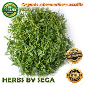 Organic Mukunuwenna Herb: South Asian Joyweed, Air Dried