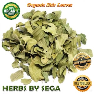 Organic Dried Sidr Leaves: Natural Jujube Lote - 5kg BULK