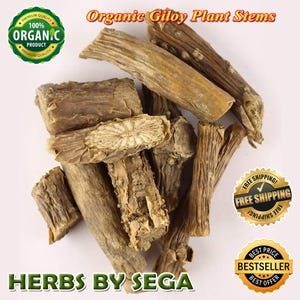 Könnte beinhalten: Eine Ansammlung getrockneter Giloy-Pflanzenstiele in hellbraunen Farbtönen. Das Bild enthält den Text "Organic Giloy Plant Stems" und "Herbs by Sega". Kreisförmige Abzeichen zeigen "Organic Product" und "Free Shipping".