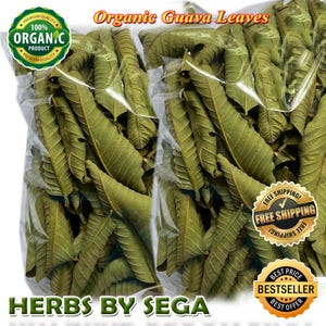 Organic Dried Guava Leaves: 1 KG Bulk, Natural Ayurveda Herb