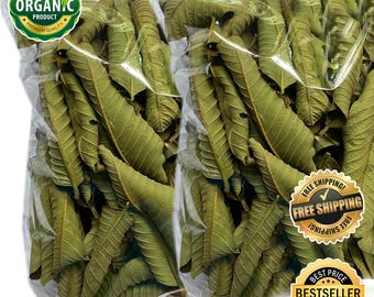 Organic Dried Guava Leaves: 1 KG Bulk, Natural Ayurveda Herb