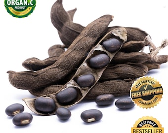 Vildt skördade Mucuna Pruriens-frön: Sammetsböna, naturligt tillskott (1 kg bulk)