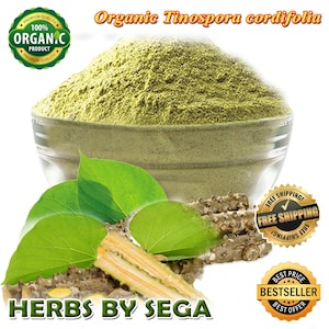 Puede incluir: Un cuenco de vidrio lleno de polvo verde, etiquetado como "Organic Tinospora cordifolia". Hojas verdes y un tallo cortado en primer plano. El texto "HERBS BY SEGA" está en la parte inferior, con insignias "100% ORGAN.C PRODUCT" y "BESTSELLER".