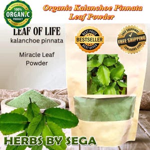 25 Grams Kalanchoe pinnata Powder, Leaf of Life Powder, Kalanchoe Pinnata powder, Miracle Leaf powder, Jamaican Leaf Of Life