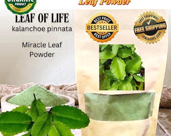 25 gramos de polvo de Kalanchoe Pinnata: Hoja de la vida, Hoja milagrosa