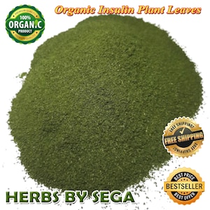 Insulin Plant Powder, Organic Insulin Plant Leaf, Costus Igneus Freshly Pick Air Dry To Order