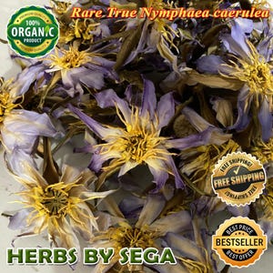 Rare authentic Blue Lotus, 500 Grams Bulk True Nymphaea Caerulea, True Nymphaea Caerulea Dried Flowers, Freshly Made To Orders