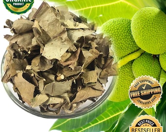 Organiczne suszone liście chlebowca: naturalne zioło ajurwedyjskie