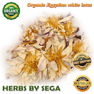 Organic Egyptian White Lotus Flowers: Meditation Tea