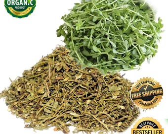 Bacopa monnieri biologique, brahmi coupé et tamisé, poudre de brahmi, fraîchement cueillie, séchée sur commande