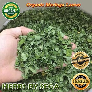 Air Dried Moringa Leaf: Bulk Drumstick Tree Leaves