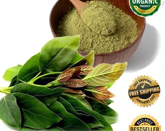 Organic Avocado Leaf Powder: Air Dried Herbal Tea