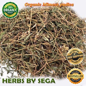 Organic Mimosa Pudica, Mimosa Pudica Powder, Mimosa Pudica Seeds Powder, Mimosa Pudica Herb Tea