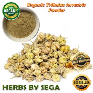 May include: An image featuring organic Tribulus terrestris powder and dried plant parts. A bowl of fine, light brown powder is visible, alongside a pile of dried, spiky seed pods. The text reads "Organic Tribulus terrestris Powder" and "Herbs by Sega."
