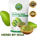 Organic Kalanchoe Pinnata Powder: Leaf of Life, Miracle Leaf (2 KG) product logo