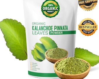Polvere di Kalanchoe Pinnata biologica: Foglia della vita, Foglia miracolosa (2 kg)