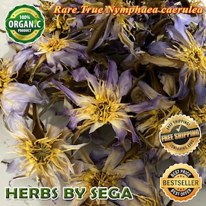 Rare authentic Blue Lotus, 10KG Bulk True Nymphaea Caerulea, True Nymphaea Caerulea Dried Flowers, Freshly Made To Orders