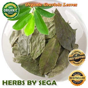 Organic Graviola Soursop Leaf: Freshly Air Dried Annona Muricata