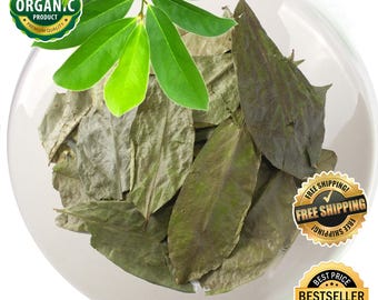 May include: An image featuring dried and fresh green Graviola leaves, with the text "Organic Graviola Leaves" and "Herbs by Sega". The image also includes product quality seals and a "Free Shipping" badge.