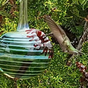 GR- Best Glass Hummingbird Feeder, The Original One Piece Drip-less Hummingbird Feeder/Green. Free Gift Wrap