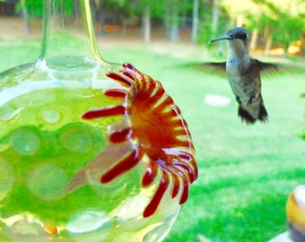 SH- Best Glass Hummingbird Feeder, The Original One Piece Drip-less Feeder/Silver Hobnail. Free Gift Wrap